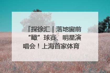 探徐汇｜落地窗前“瞰”球赛、明星演唱会！上海首家体育特色高端酒店亮相