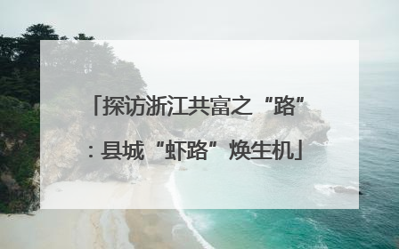 探访浙江共富之“路”：县城“虾路”焕生机