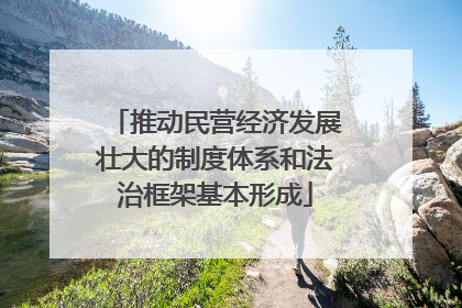 推动民营经济发展壮大的制度体系和法治框架基本形成