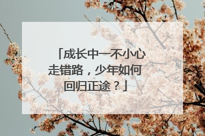 成长中一不小心走错路，少年如何回归正途？