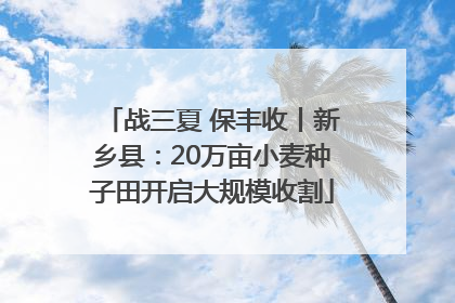 战三夏 保丰收丨新乡县：20万亩小麦种子田开启大规模收割