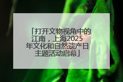 打开文物视角中的江南，上海2025年文化和自然遗产日主题活动启幕