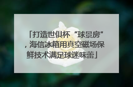 打造世俱杯“球景房”，海信冰箱用真空磁场保鲜技术满足球迷味蕾