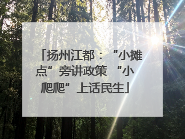 扬州江都：“小摊点”旁讲政策 “小爬爬”上话民生