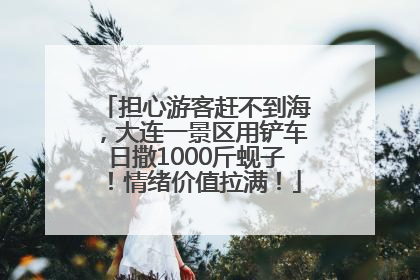 担心游客赶不到海，大连一景区用铲车日撒1000斤蚬子！情绪价值拉满！