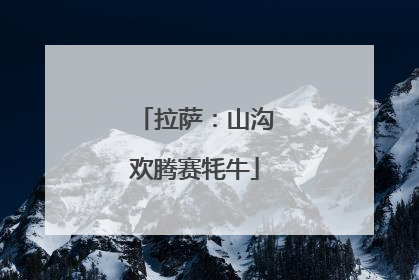 拉萨：山沟欢腾赛牦牛