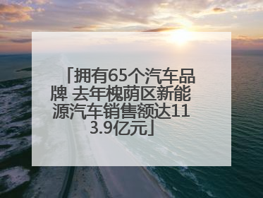 拥有65个汽车品牌 去年槐荫区新能源汽车销售额达113.9亿元