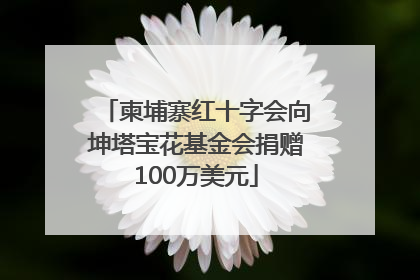 柬埔寨红十字会向坤塔宝花基金会捐赠100万美元