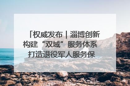 权威发布｜淄博创新构建“双域”服务体系 打造退役军人服务保障“淄博样板”
