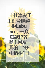 杜淳妻子王灿兮晒整柜Labubu，一众爆款IP齐聚！网友：我的 “梦中情柜”