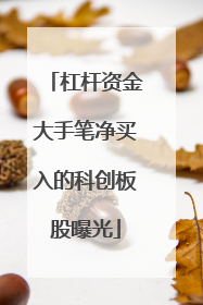杠杆资金大手笔净买入的科创板股曝光