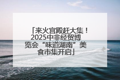 来火宫殿赶大集！2025中非经贸博览会“味道湖南”美食市集开启