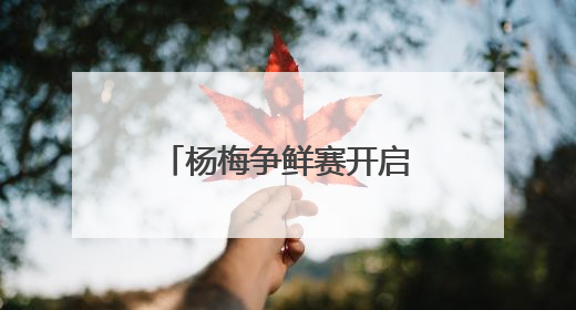杨梅争鲜赛开启舌尖上的狂欢 看看谁最能代表浙江的“甜”？