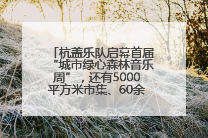 杭盖乐队启幕首届“城市绿心森林音乐周”，还有5000平方米市集、60余场免费活动等你来