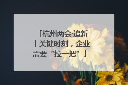 杭州两会·追新丨关键时刻，企业需要“拉一把”