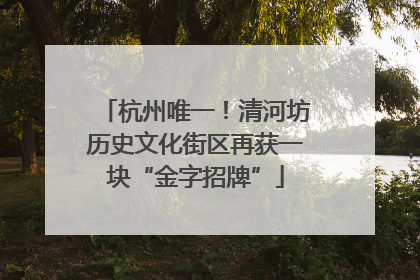 杭州唯一！清河坊历史文化街区再获一块“金字招牌”