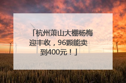 杭州萧山大棚杨梅迎丰收，96颗能卖到400元！