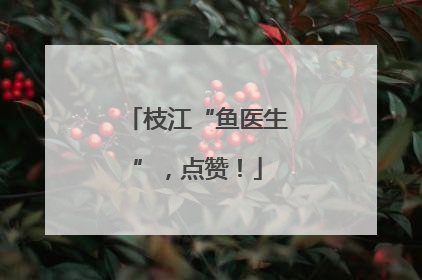 枝江“鱼医生”，点赞！