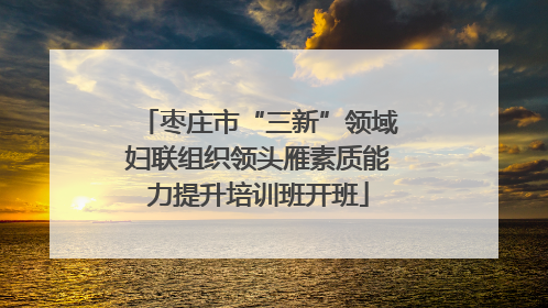 枣庄市“三新”领域妇联组织领头雁素质能力提升培训班开班