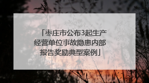 枣庄市公布3起生产经营单位事故隐患内部报告奖励典型案例