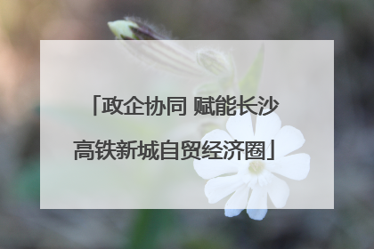 政企协同 赋能长沙高铁新城自贸经济圈