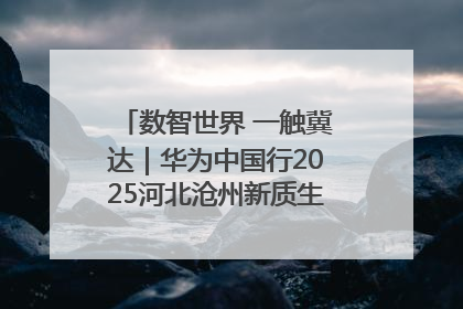 数智世界 一触冀达｜华为中国行2025河北沧州新质生产力峰会成功举办