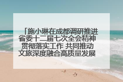 施小琳在成都调研推进省委十二届七次全会精神贯彻落实工作 共同推动文旅深度融合高质量发展 加快打造支柱产业民生产业幸福产业