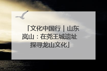 文化中国行｜山东岚山：在尧王城遗址探寻龙山文化