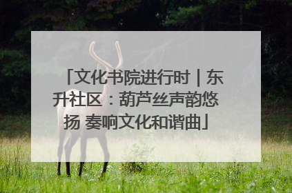 文化书院进行时｜东升社区：葫芦丝声韵悠扬 奏响文化和谐曲