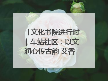 文化书院进行时｜车站社区：以文润心传古韵 艾香氤氲睦邻情