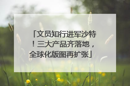 文员知行进军沙特！三大产品齐落地，全球化版图再扩张