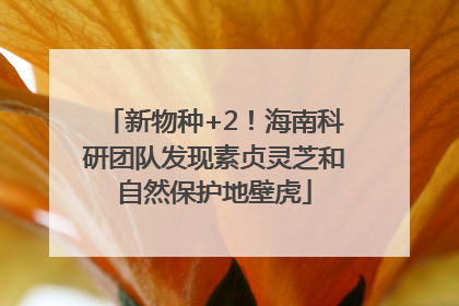 新物种+2！海南科研团队发现素贞灵芝和自然保护地壁虎