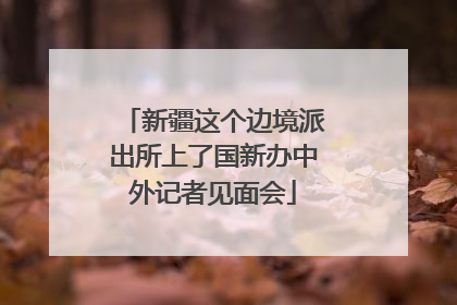 新疆这个边境派出所上了国新办中外记者见面会