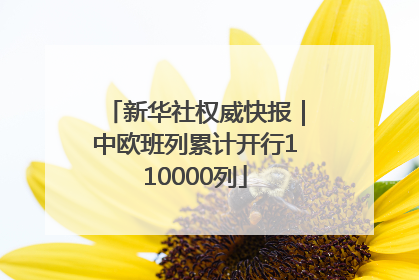 新华社权威快报｜中欧班列累计开行110000列