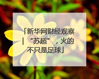 新华网财经观察｜“苏超”，火的不只是足球