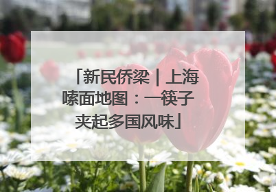 新民侨梁｜上海嗦面地图：一筷子夹起多国风味