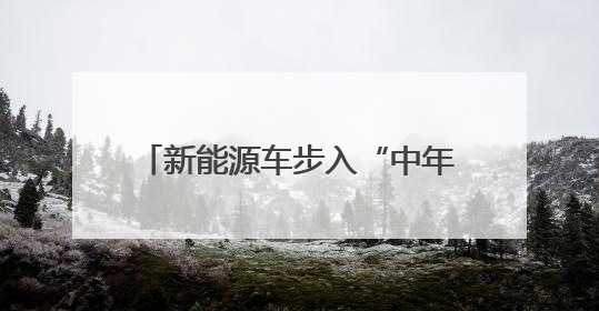 新能源车步入“中年危机”：常州高龄电动车维保现状纪实