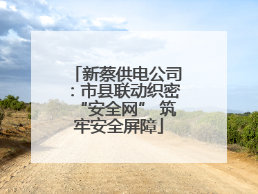 新蔡供电公司：市县联动织密“安全网” 筑牢安全屏障