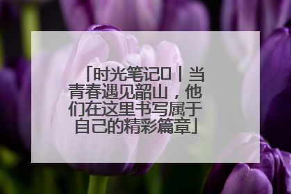 时光笔记⑪丨当青春遇见韶山,他们在这里书写属于自己的精彩篇章