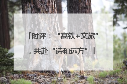 时评：“高铁+文旅”，共赴“诗和远方”