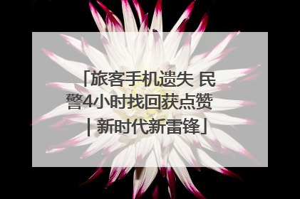 旅客手机遗失 民警4小时找回获点赞｜新时代新雷锋