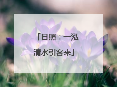 日照：一泓清水引客来
