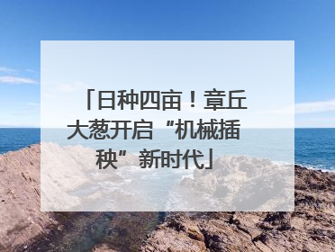 日种四亩！章丘大葱开启“机械插秧”新时代
