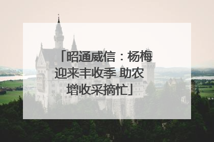 昭通威信：杨梅迎来丰收季 助农增收采摘忙