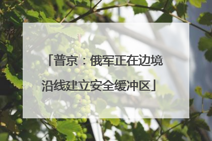 普京：俄军正在边境沿线建立安全缓冲区