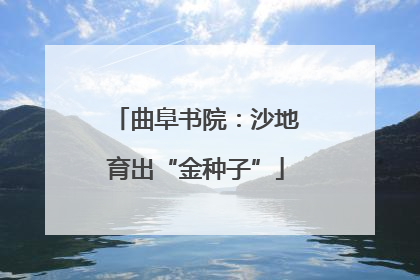 曲阜书院：沙地育出“金种子”