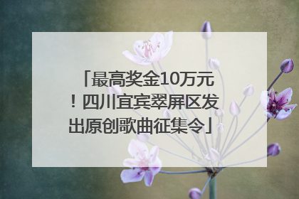 最高奖金10万元！四川宜宾翠屏区发出原创歌曲征集令
