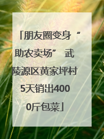 朋友圈变身“助农卖场” 武陵源区黄家坪村5天销出4000斤包菜