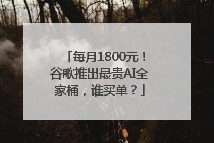 每月1800元！谷歌推出最贵AI全家桶，谁买单？