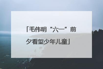 毛伟明“六一”前夕看望少年儿童